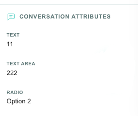 Conversation Attributes shown read-only in the resolved conversation properties panel
